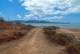 海滩,热带设置,磁岛