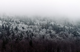 自然,景觀(guān),伍茲