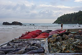 海滩,海,食品