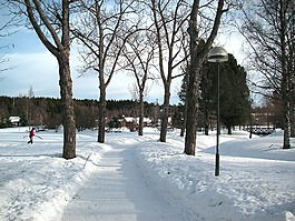 瑞典,冬天,雪