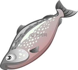 魚,食品,動(dòng)物