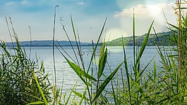 湖,閃光,水
