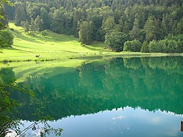 湖,水,夏天
