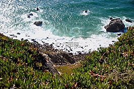 沖浪,大西洋,巖