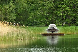 噴泉,公園,水