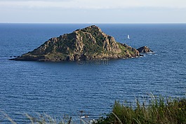島,景觀,海