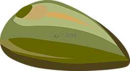 種子,螺母,綠色