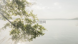 背景,湖,水