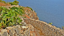 salento,海,夏季