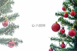 树,目前,圣诞节