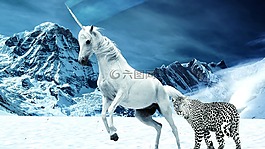 獨(dú)角獸,神秘生物,魔術(shù)