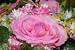 玫瑰,花束,鮮花