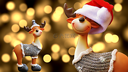 穆斯,圣誕節(jié),圣誕主題