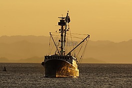 船,釣魚,領(lǐng)帶