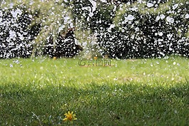 水,澆水,下降