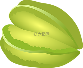種子,增長,綠色