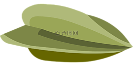 種子,增長,綠色