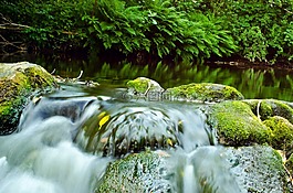 水,河,速度