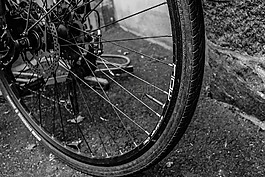 自行車,車輪,循環(huán)