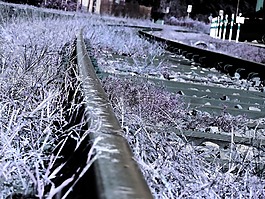 gleise,火車,似乎