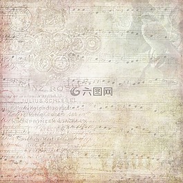 粉紅色,玫瑰,花的