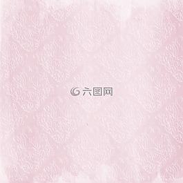 粉紅色,玫瑰,花的