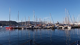 游艇,海港,水