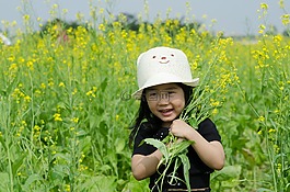 小,花卉改革,場