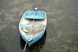 船,水,瀏覽