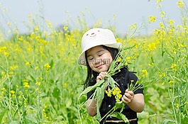 小,花卉改革,場