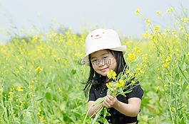 小,花卉改革,場