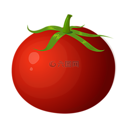 番茄,紅色,水果