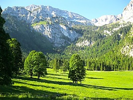 德國(guó),山,景觀