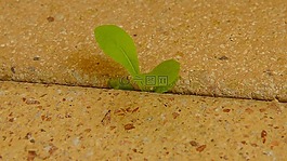 大自然的力量,spriesen,性質(zhì)