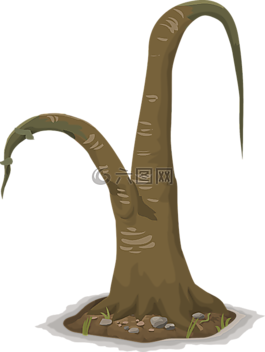 植物,树,棕色
