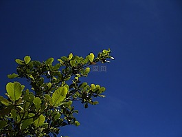性質(zhì),天空,藍色