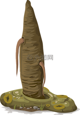 植物,棕色,海洋