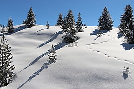 雪,山,高山