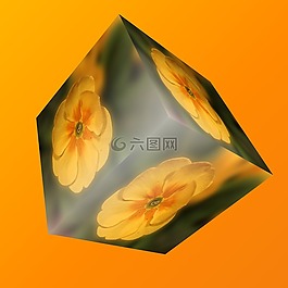 多維數(shù)據(jù)集,花,潘茜