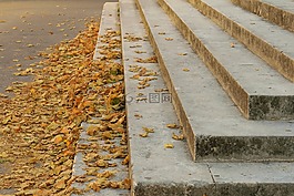 市場,葉,秋天