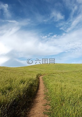 自然,綠色,草