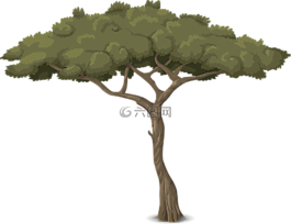 树,树干,自然