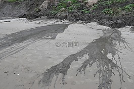 海灘,砂,水