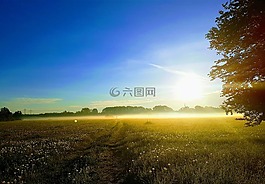 性質(zhì),霧,景觀