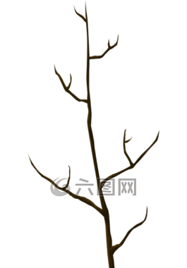 樹,樹干,自然