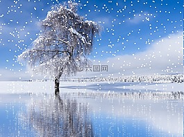 冬天,雪,降雪