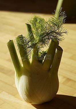 小茴香,小茴香蔬菜,蔬菜