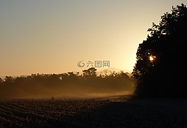早上,太阳,冷
