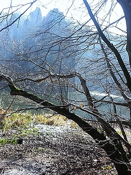 externsteine,森林,山