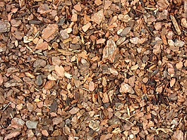 树皮覆盖物,地面,代码段